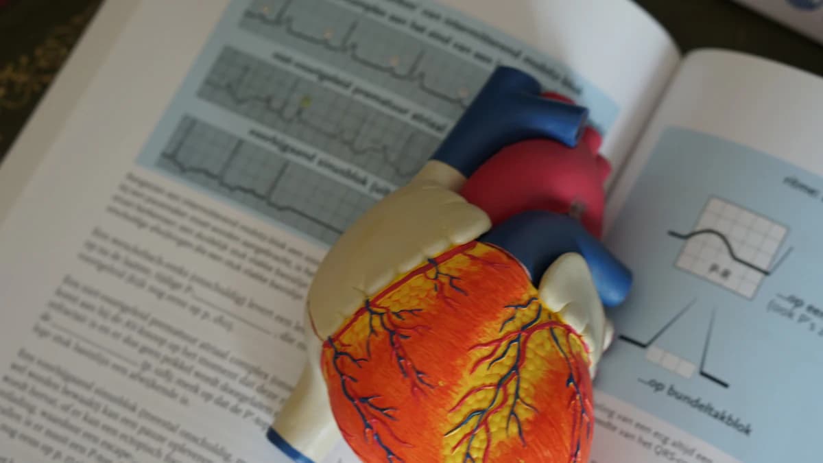 Arts bespreekt hartkloppingen en ritmeonderzoek met een patient