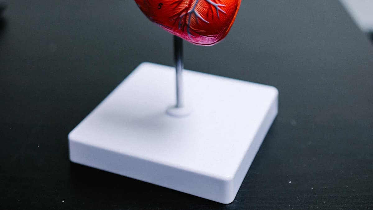 Patient bekijkt online reviews van cardiologen en bespreekt keuze met arts