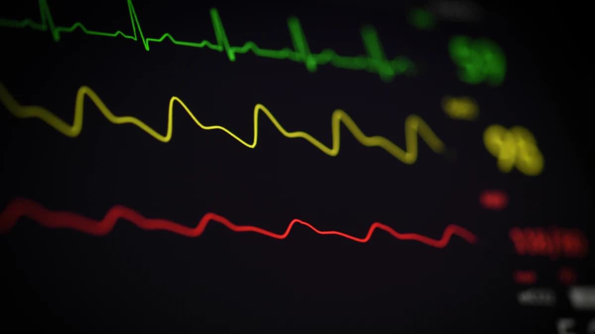 Patient bespreekt vragen met de cardioloog tijdens een afspraak