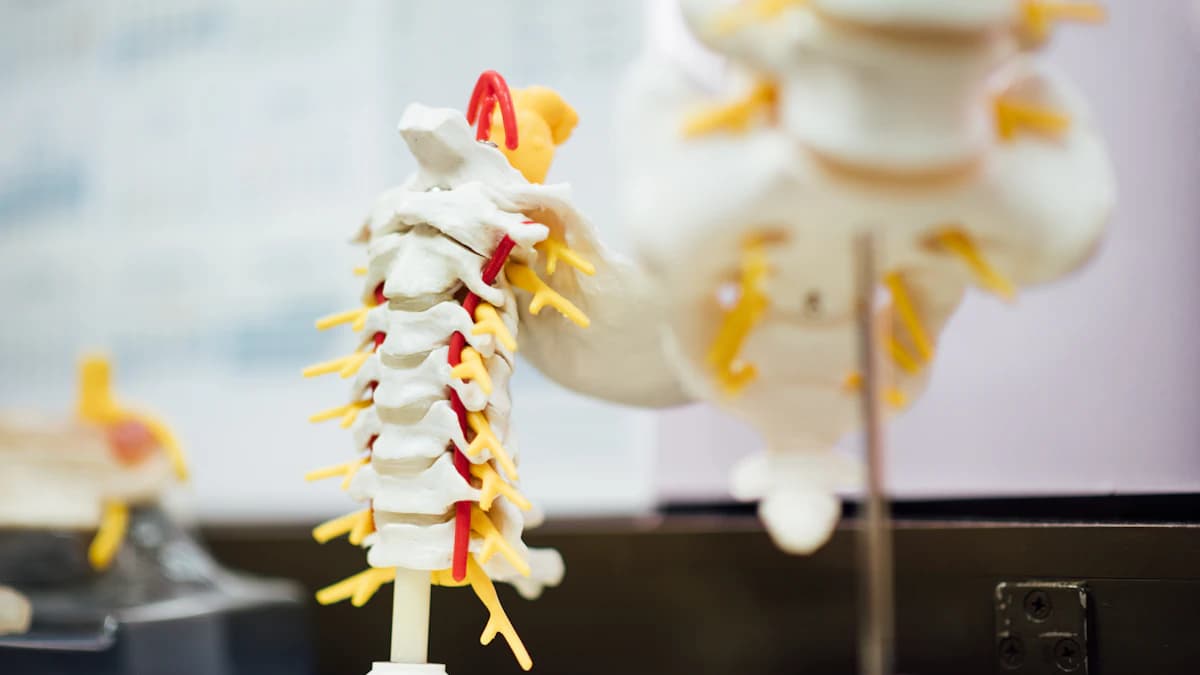 Zorgverlener bespreekt nekklachten en veilige behandelkeuzes met een patient