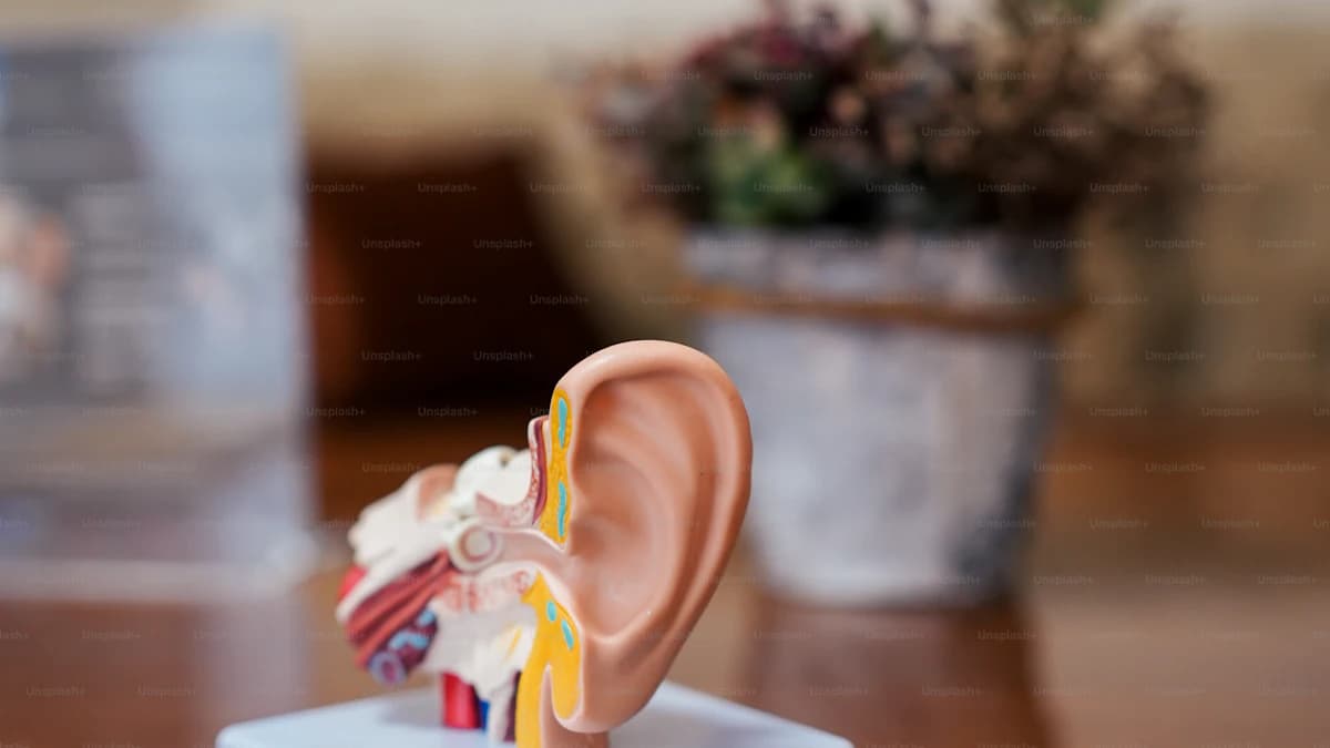 Hoorhulpmiddelen en accessoires voor beter horen thuis