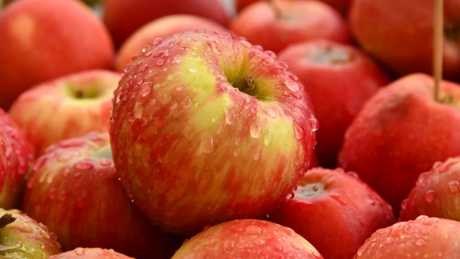 Vitamine D, B12 en ijzer: zelf testen of arts?